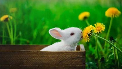 九游网页版官网-五大联赛赛季中段长期疲劳趋势对内容输出产生的数据结构，五大联赛连续最长不胜纪录