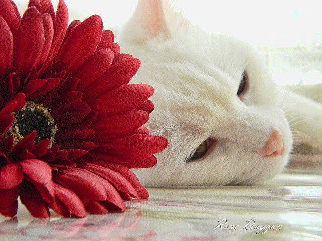 _勇士开启三分狂潮,比赛节奏加快_,勇士三节120分