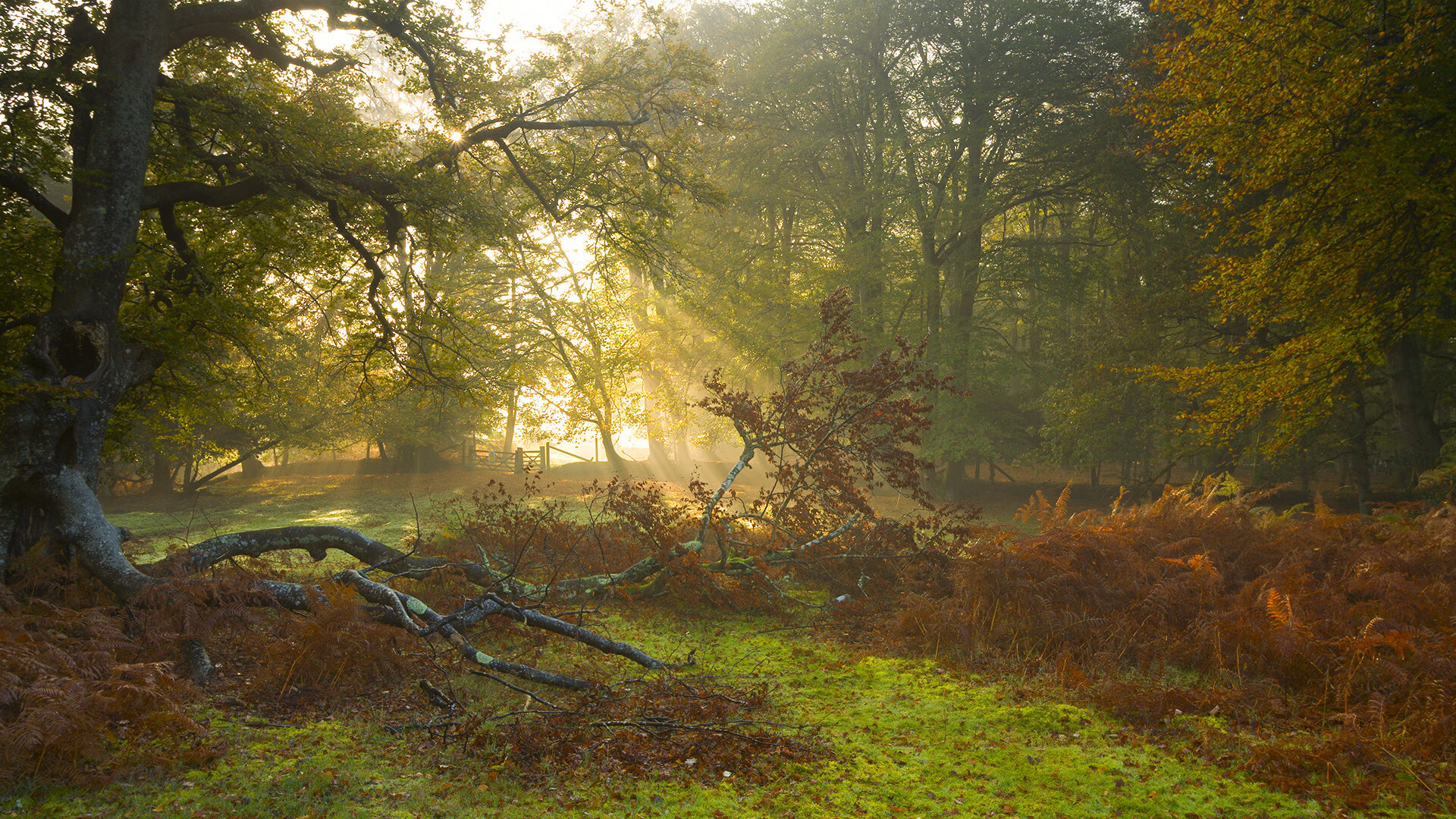 “英超末轮决战在即，冠亚军悬念重重”，2021英超最后一轮