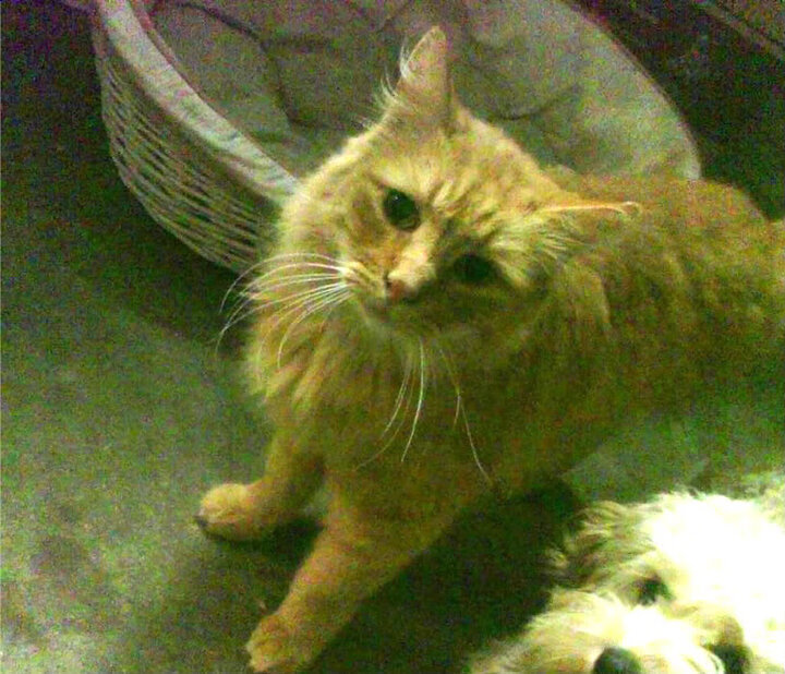 九游官网下载电脑版-史上最“炸裂”的关键三分，点燃全场激情！，三分激情下一句是什么