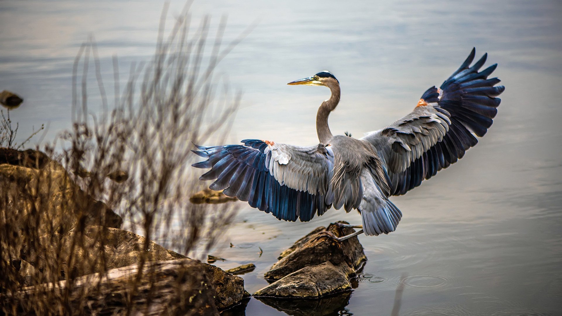 德国媒体：我们低估了塞内加尔的雪地适应能力，塞内加尔最高温度,和最低温度