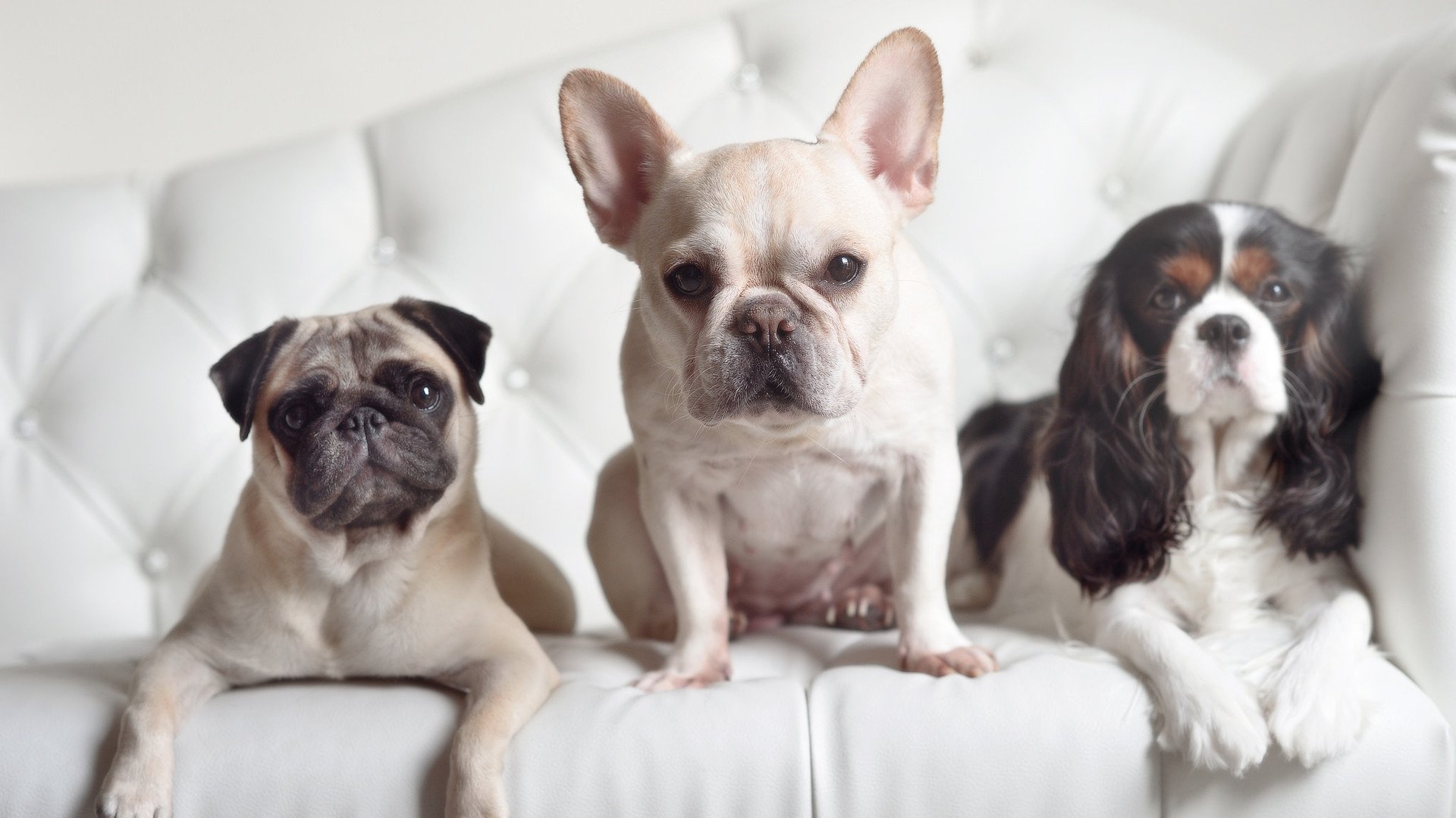 湖人设立“球员家属支持基金”，关注背后力量，湖人历年全家福