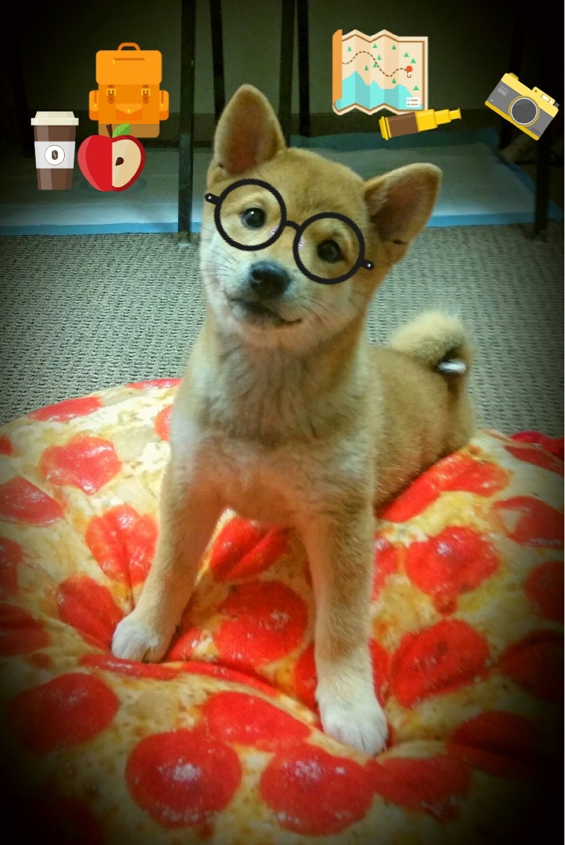 九游网游官网-法甲焦点夜，专家解读球队战术怎样引领比赛节奏，足球战术方案