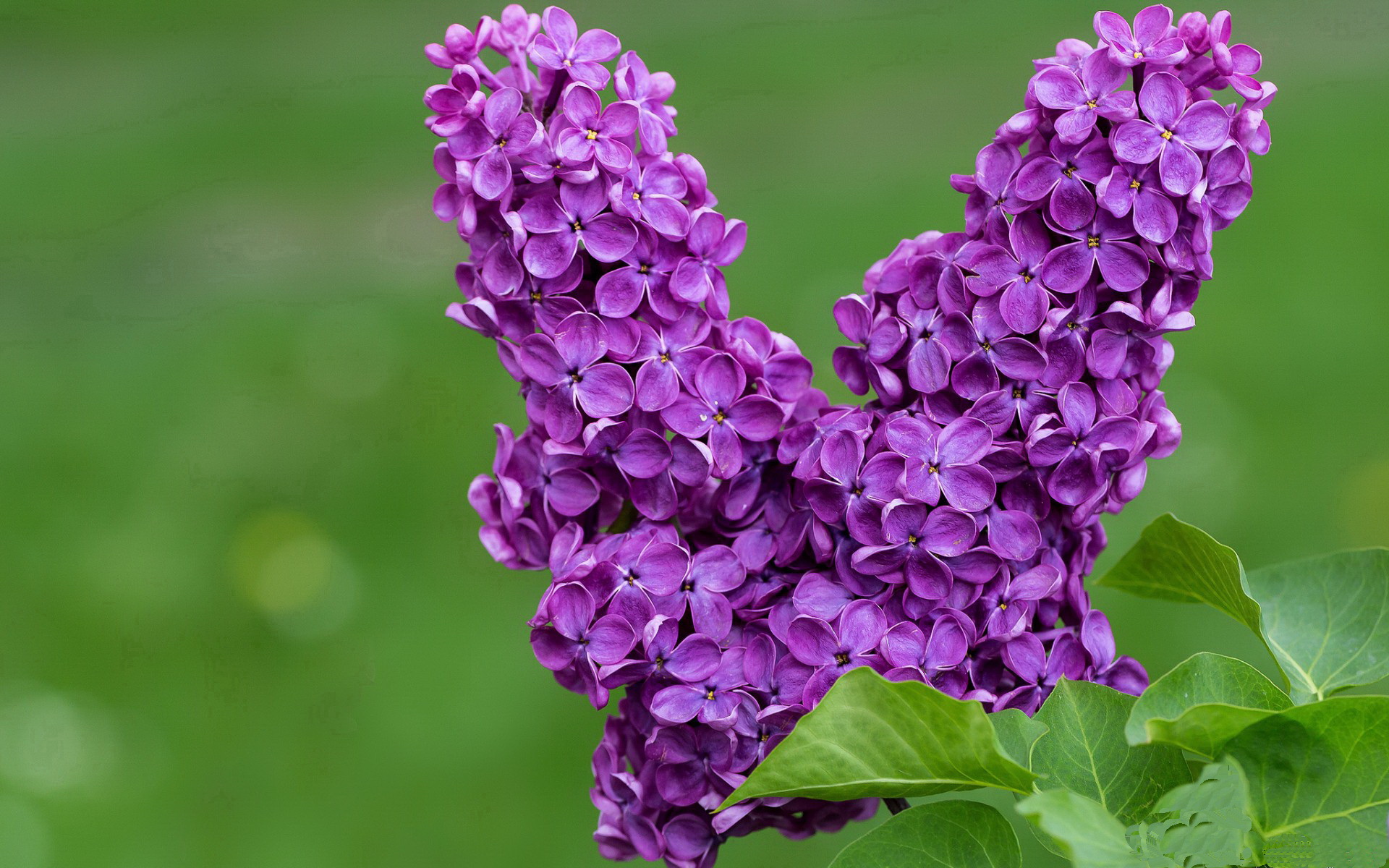 顶级战队的秘密训练营:探索背后的策略与纪律,lol秘密战队