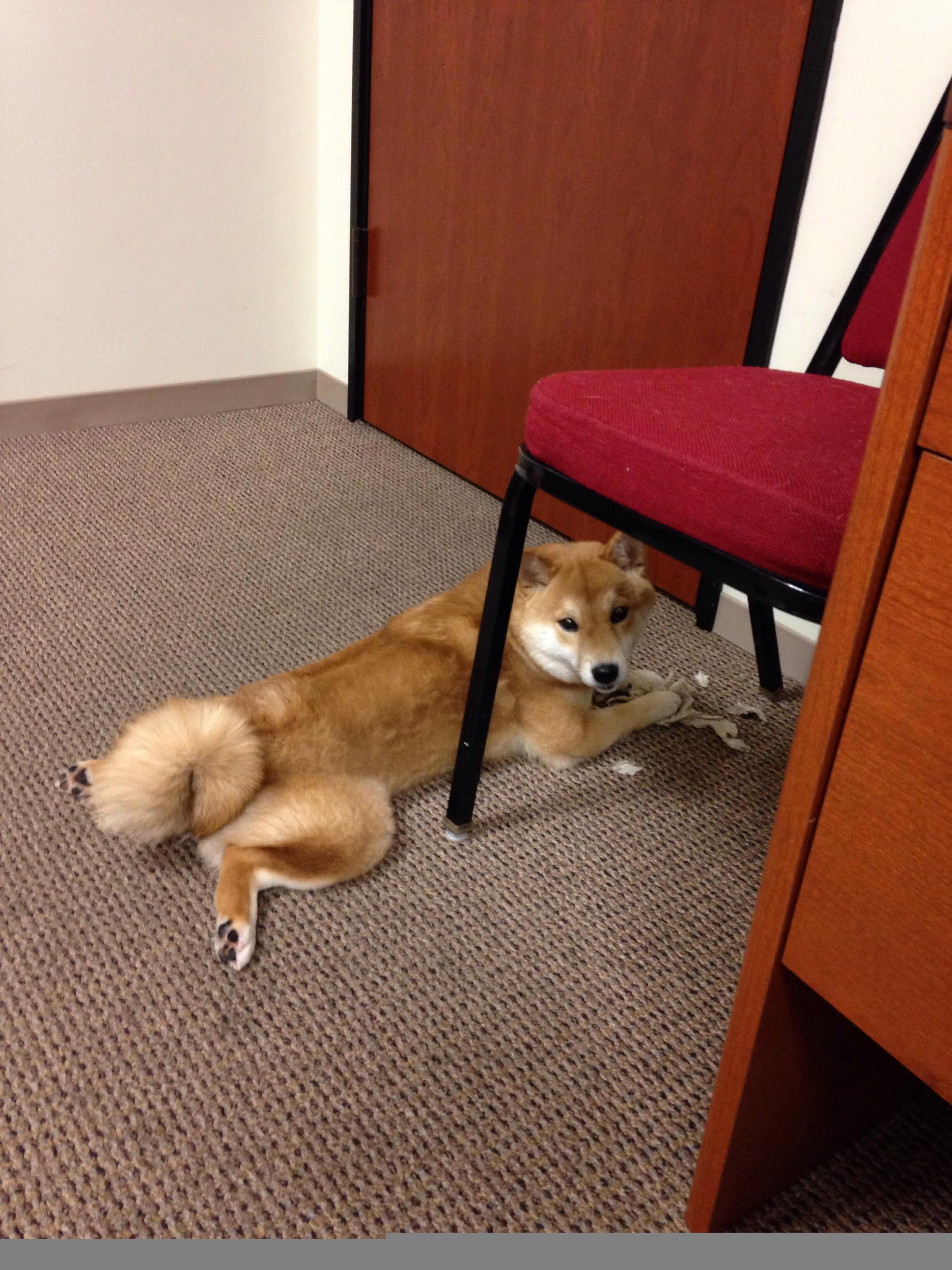 九游APP官网-北马其顿蓄势待发：波黑难阻他们步伐，北马其顿原来是哪个国家