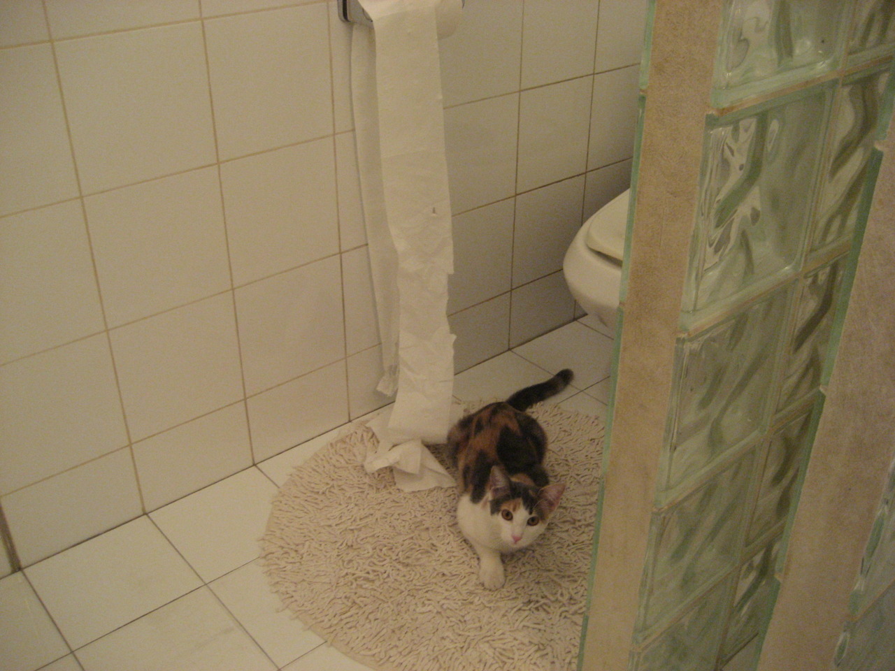 九游（jiuyou.com）游戏-奥格斯堡客场告捷，近期状态回勇，奥格斯堡vs