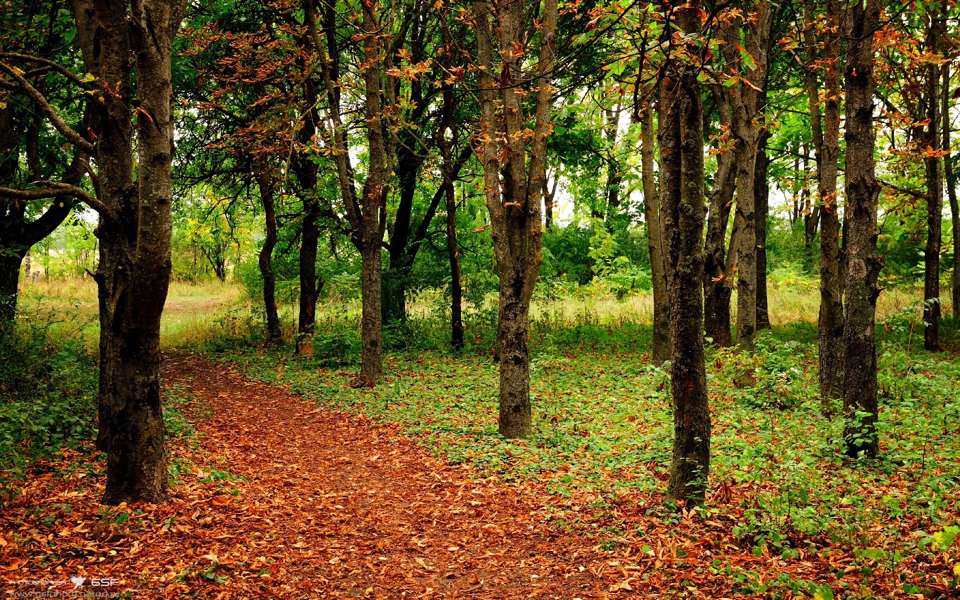 意大利主力门将唐纳鲁马王牌表现引关注,搞僵了!各队压价没人愿意高薪签唐纳鲁马
