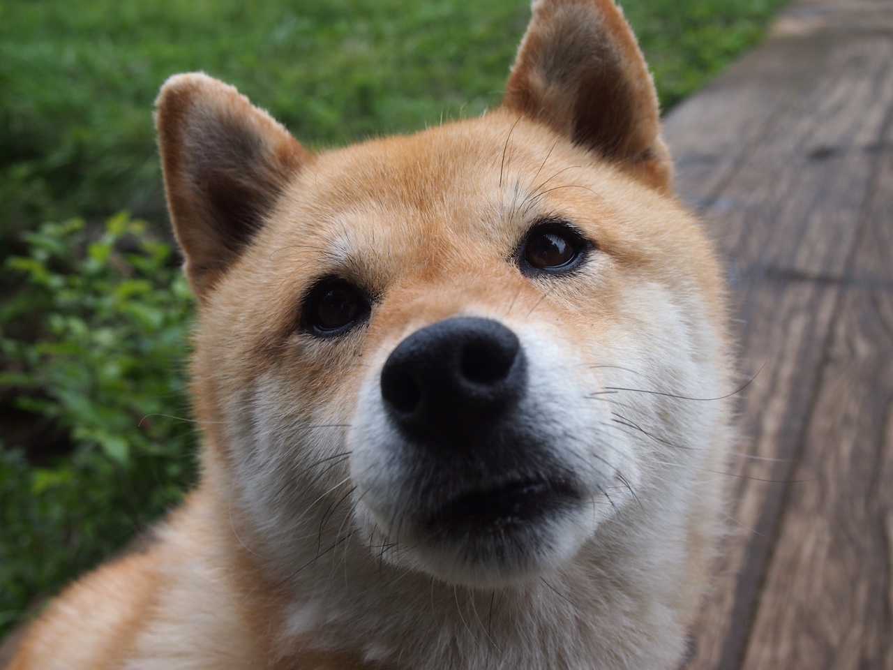 意大利足球俱乐部发起慈善活动,受欢迎,成立于1908意大利足球俱乐部