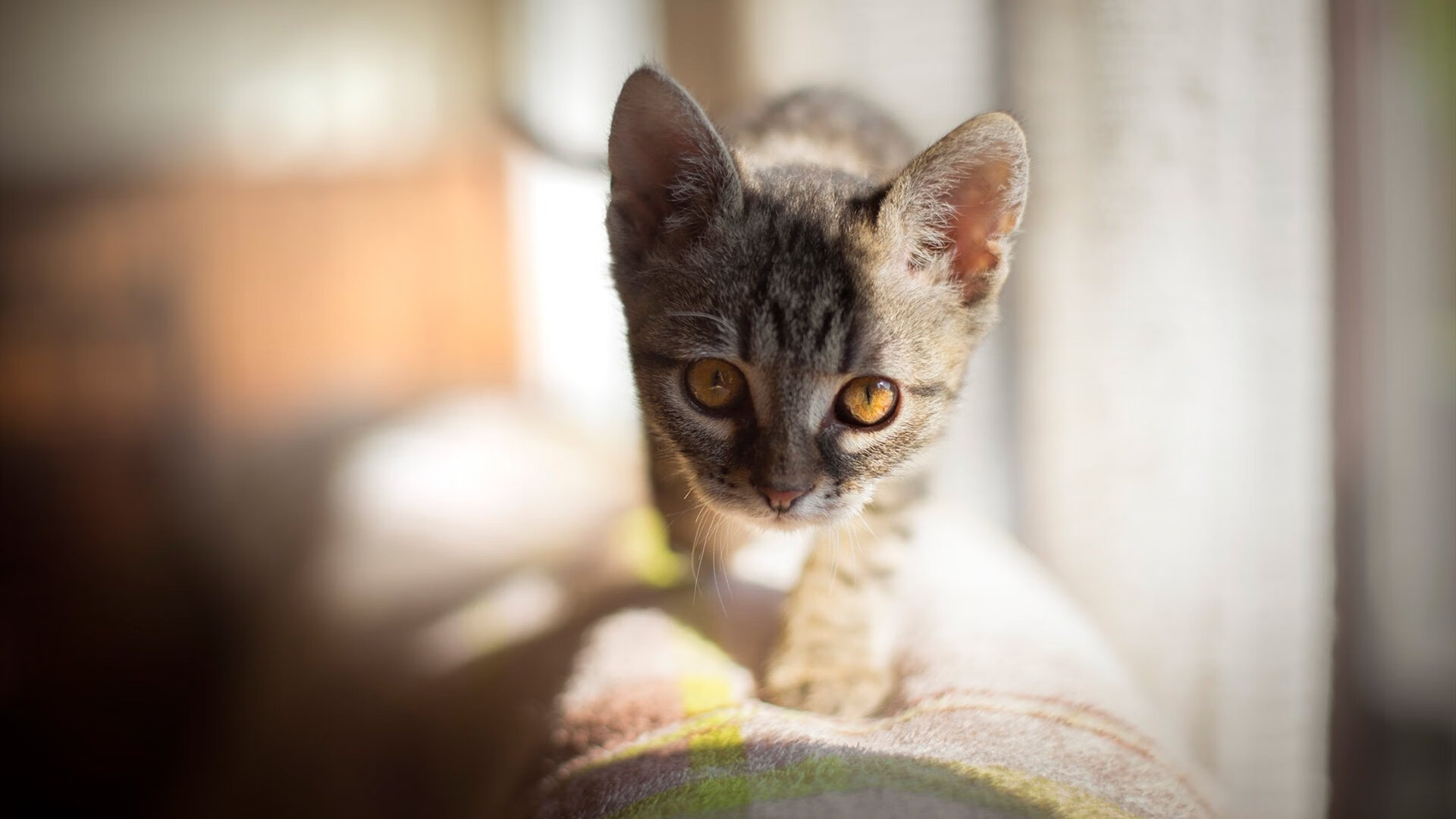 九游娱乐-热那亚再度输球，保级形势不容乐观，热那亚怎么样