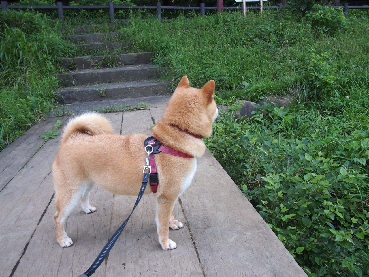 贵州男篮坚决不失,球员拼尽全力取得胜利!,贵州男篮球星