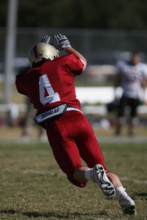 JIU YOU GAME-NBA球队防守战术演变分析，nba球队防守效率排行榜