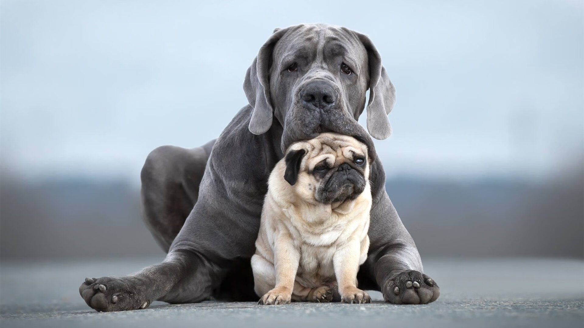 NBA球队球员心理素质培养,nba球星素质