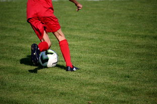 九游游戏中心-中超球队球员年龄结构，中超球队平均年龄