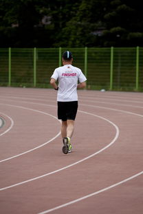 九游娱乐(jiuyou)官网-高校运动训练效果科学评估研究，运动训练高校排名