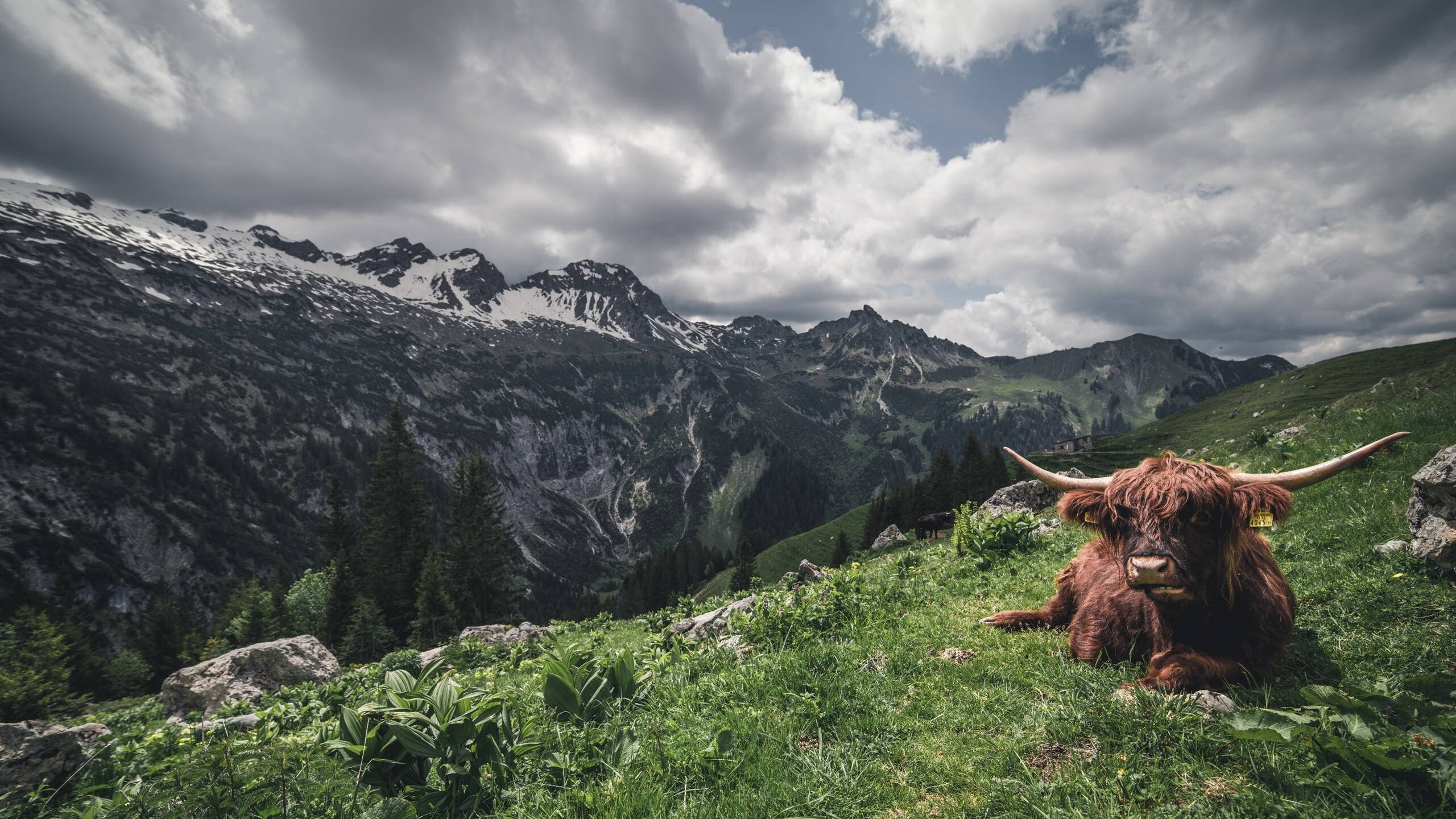 “2025世界运动会:沙滩手球点燃天府新区激情”