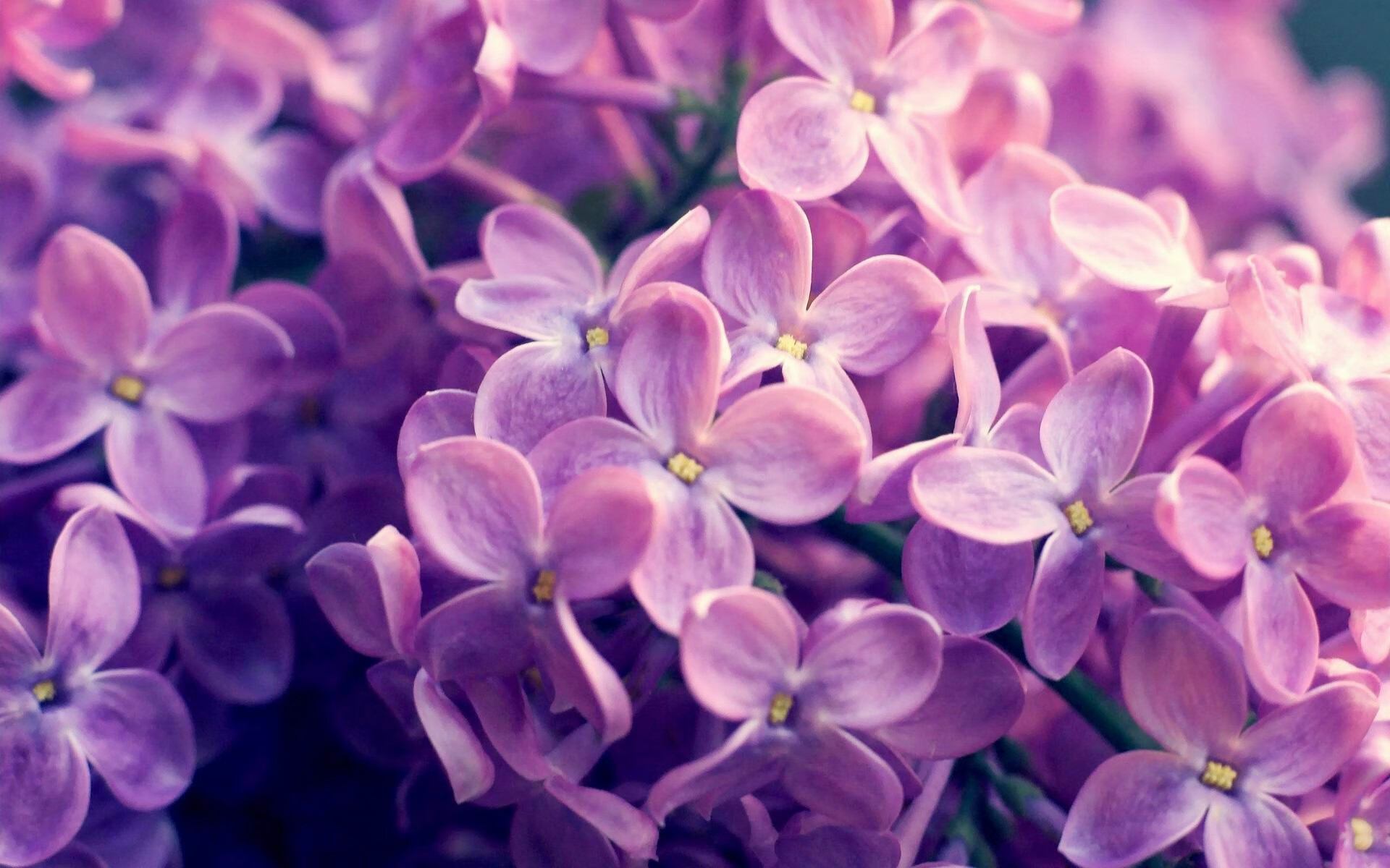 九游官网下载电脑版-世界杯英雄布努将续约留队，布努进球