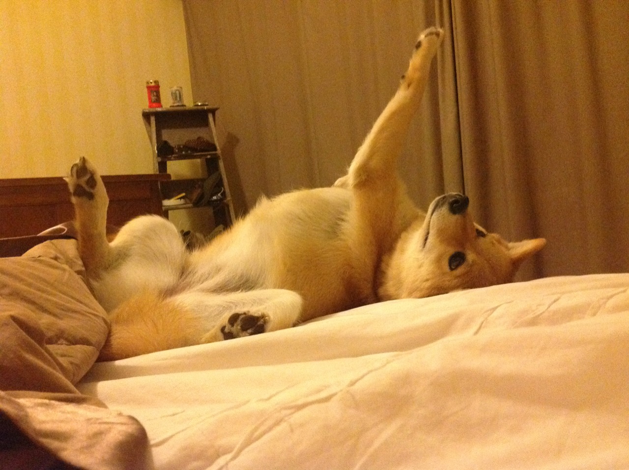 切尔西3-0完胜巴黎圣日耳曼夺冠,切尔西vs巴黎欧冠