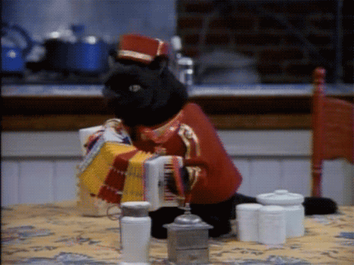 德国队在2024年世界杯赛场的精湛表现与未来展望,德国队2022世界杯预选赛