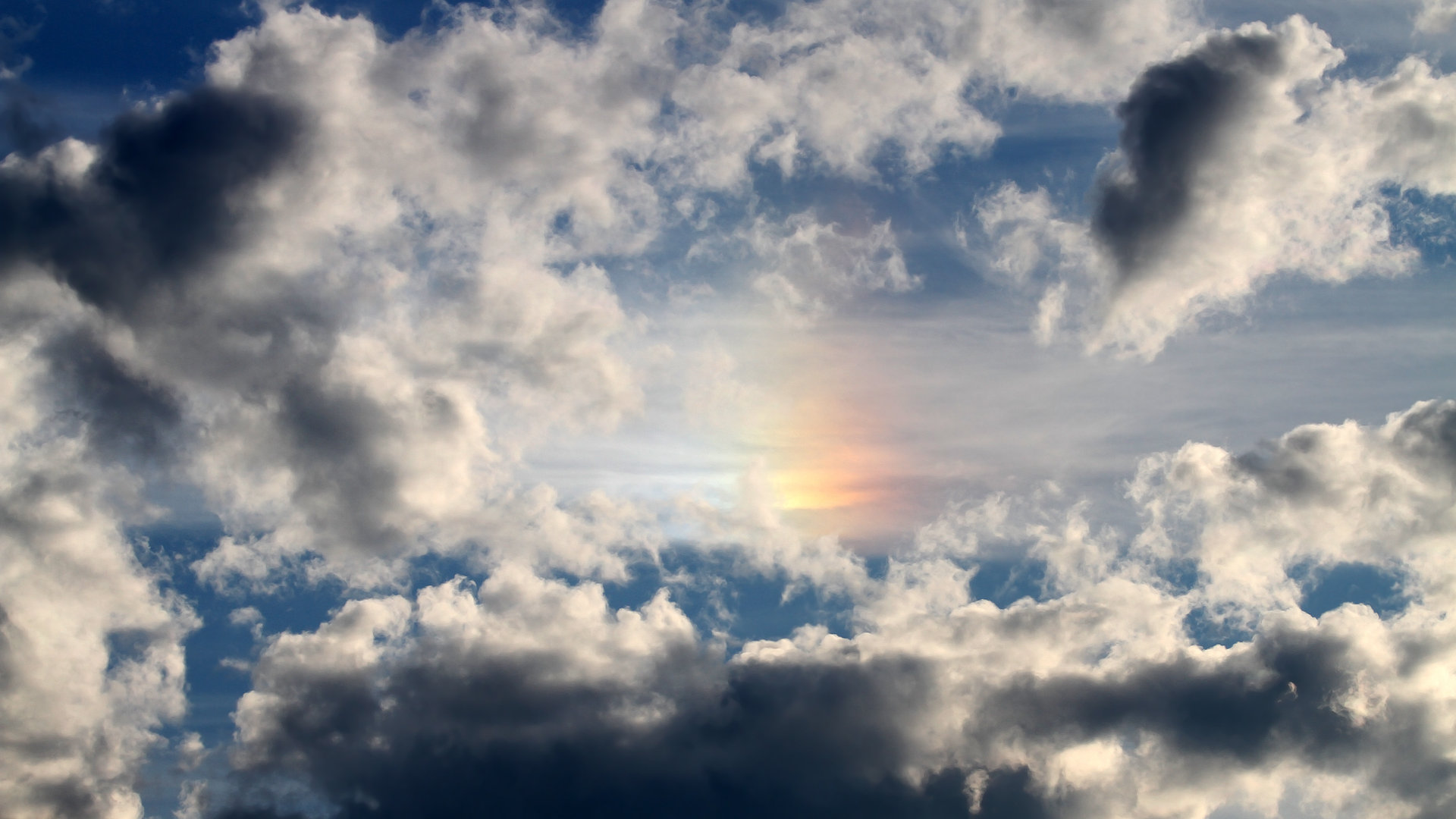 九游登录入口-“南非羚羊队的坚固堡垒：埃尔斯·霍斯特的卓越表现”