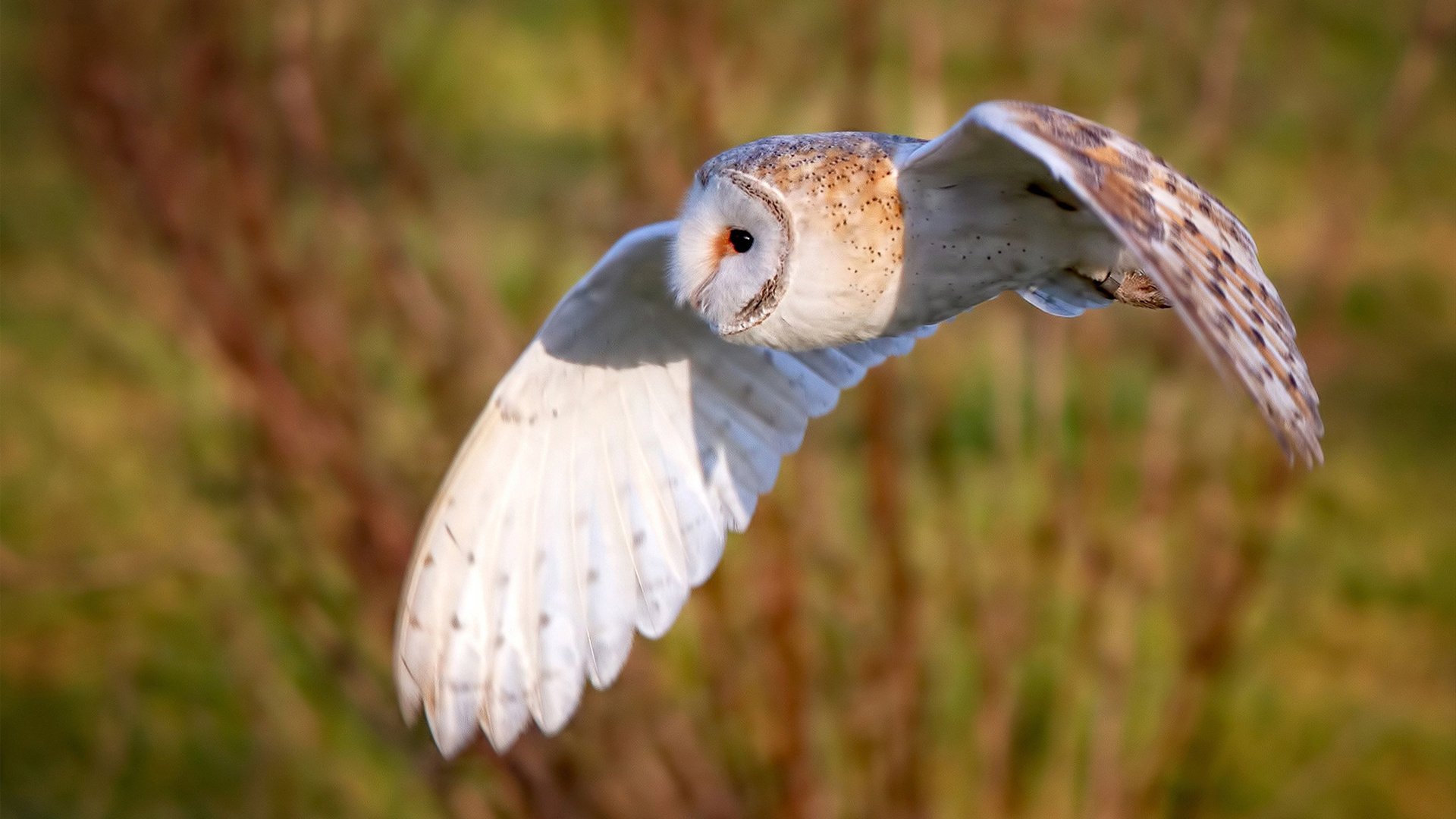 九游娱乐官网 (jiuyou)-中乙球队关注度提高赞助商数量逐年递增，中乙球衣赞助商