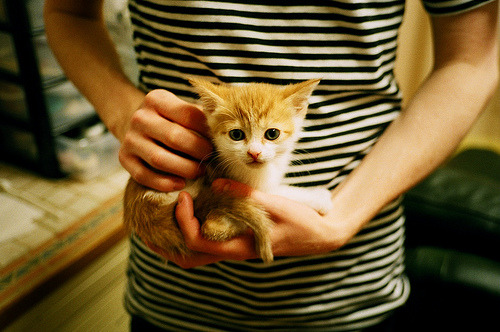 九游app下载中心-中国队后半程强势发力夺得佳绩，中国队后场