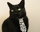 格鲁吉亚女篮在欧洲锦标赛中出色发挥，迈向更高舞台，格鲁吉亚篮球赛