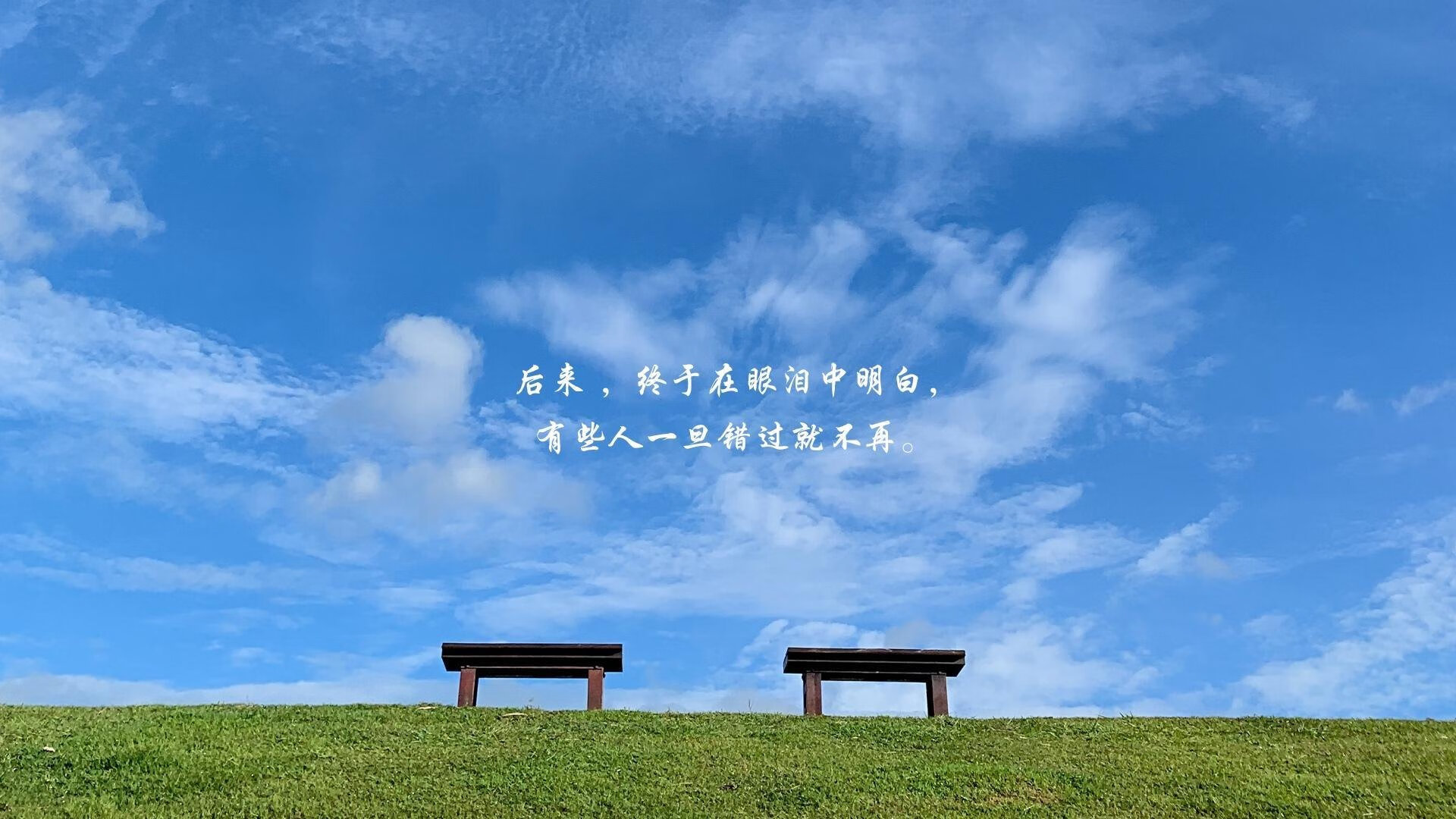 格鲁塞男子100米蝶泳决赛表现无懈可击,格鲁塞男子100米蝶泳决赛表现无懈可击视频