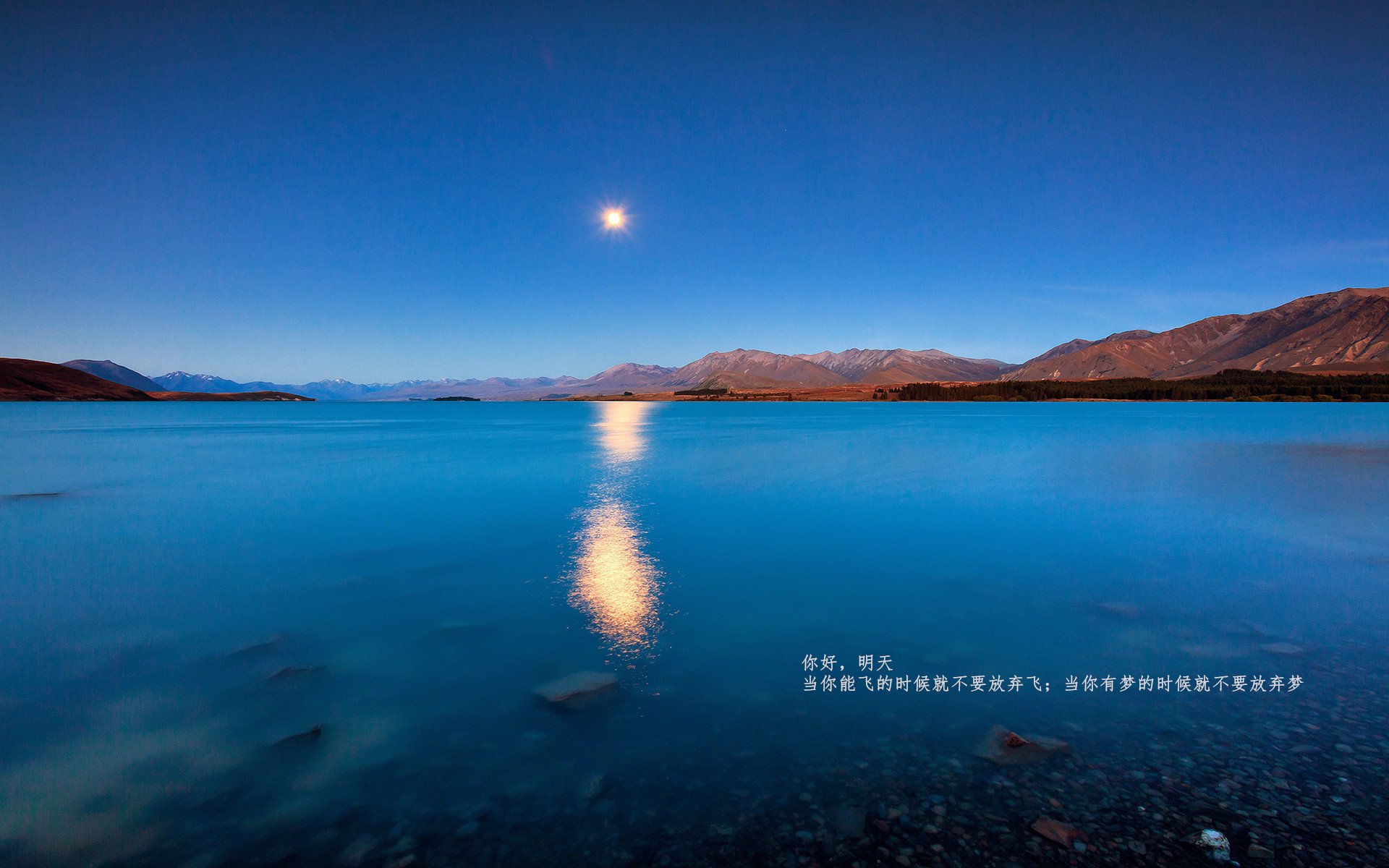 九游官网pc-自由泳比赛突尼斯节奏渐入佳境，自由泳 突尼斯