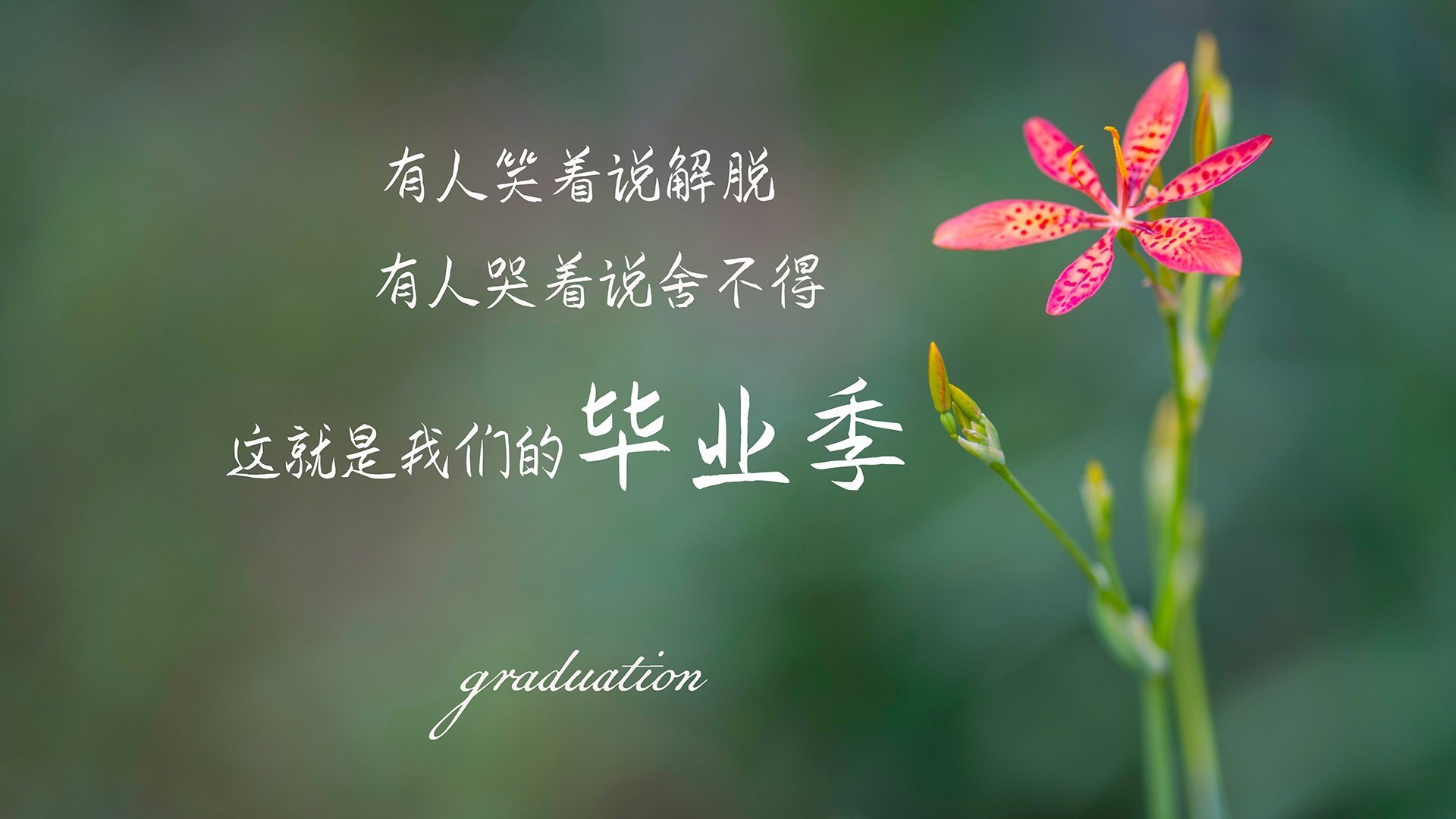 黄蜂新人持续提升得到更多出场时间,黄蜂队员